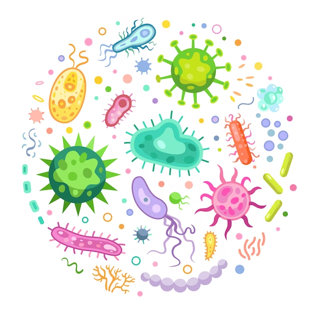 virus e bacterias